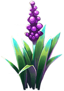 Stenchflower